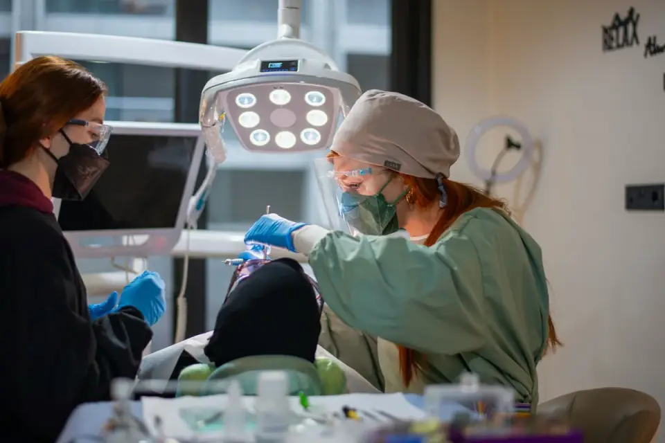 A veterinarian gently examining a senior dog while the owner looks on in an exam room