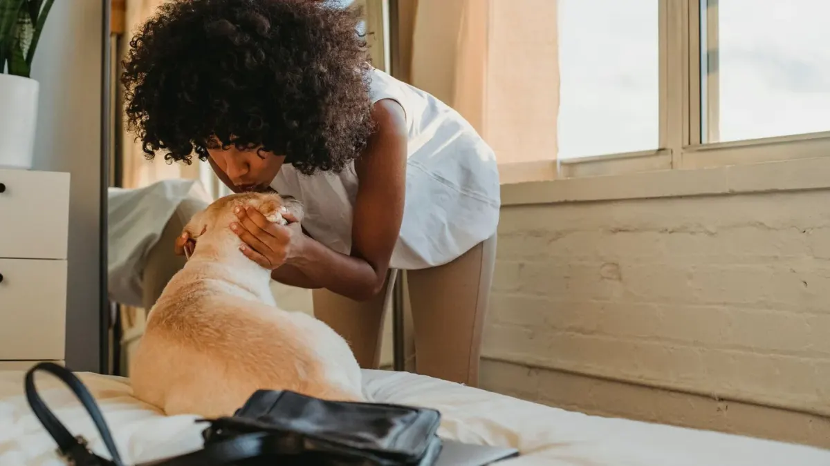Dog with an owner at home