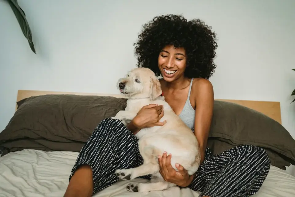 Dog with an owner at home