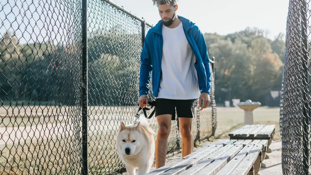 Older dog with an owner in a park