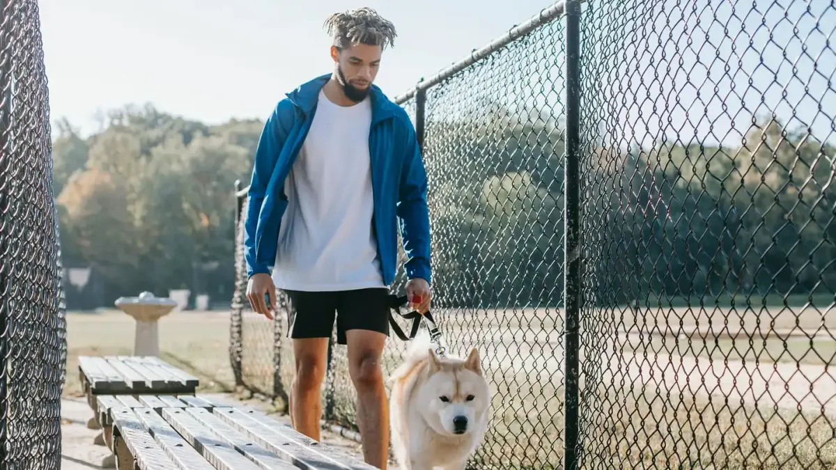 Older dog with an owner in a park